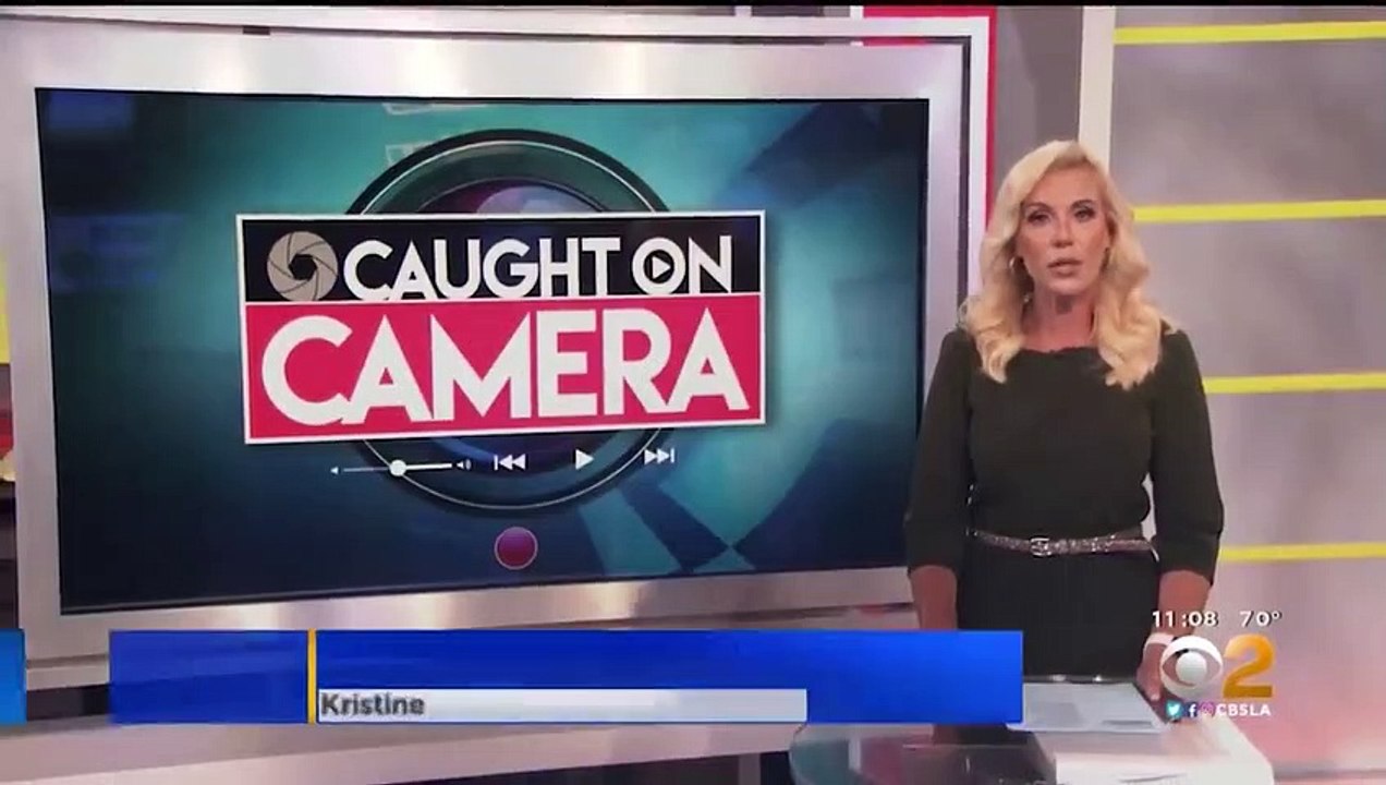 Mike Tyson Destroys Drunk Airplane Passenger...