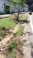 கோவையில் 500 மீட்டருக்கு தீ பிடித்து எரிந்த சாலை  - வீடியோ