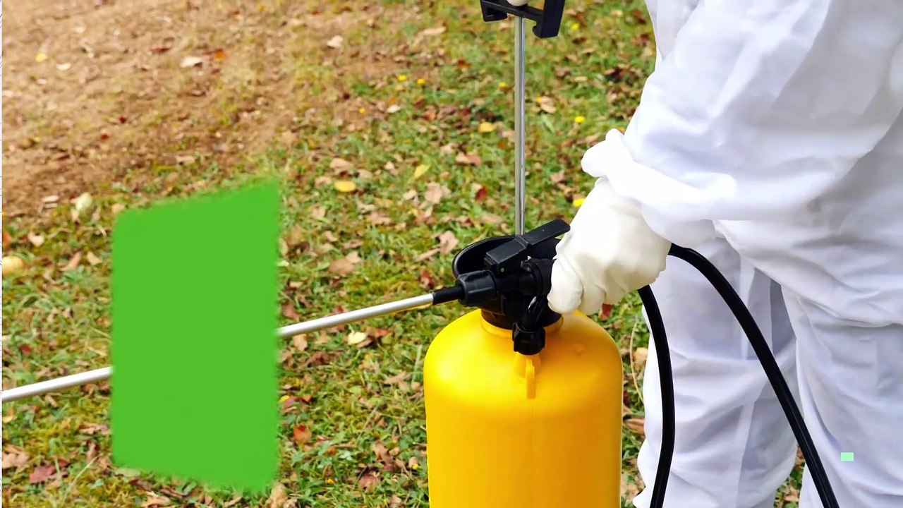 Pest Control Boise video Dailymotion