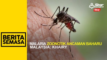 Malaria zoonotik ancaman baharu Malaysia: Khairy