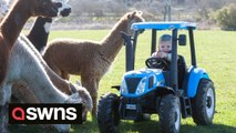 Meet the tractor obsessed THREE year old boy who is taking social media by storm