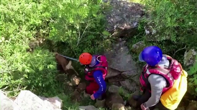 South African policewoman lost her life trying to save flood victims