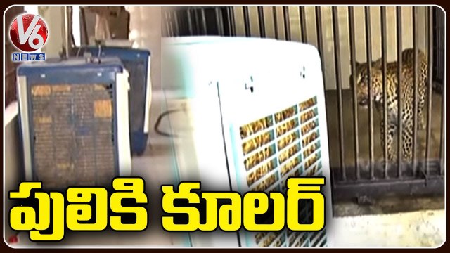 Officials Arranged Air Coolers For Animals To Beat The Summer Heat in Kakatiya Zoological Park _ V6