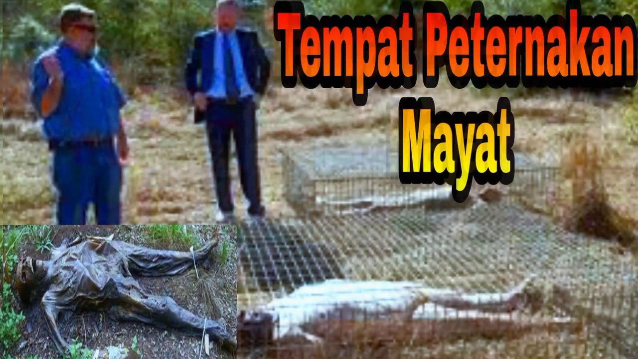 Peternakan Mayat Manusia
