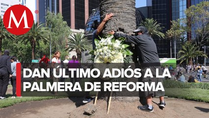 Con aplausos, música y abrazos, capitalinos se despiden de La Palma en Reforma