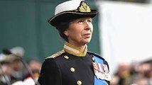 'Best person for the job!' Royal fans back Princess Anne to replace Harry in major role