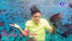 Island hopping at free diving, subukan sa Ternate, Cavite!  | Biyahe Ni Drew