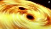 What If Two Black Holes Collided