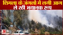 जंगलों में लगी आग पहुंचने लगी रिहायशी इलाकों तक | Forest Fire In Shimla Himachal Pradesh