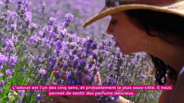 Voilà le parfum que tout le monde préfère sur Terre
