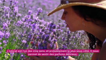 Voilà le parfum que tout le monde préfère sur Terre