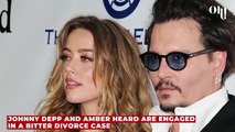 Johnny Depp & Amber Heard: These stars stand with Amber