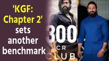 'KGF: Chapter 2' joins 300 crore club