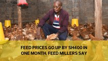 Feed prices go up by Sh400 in one month, feed millers say