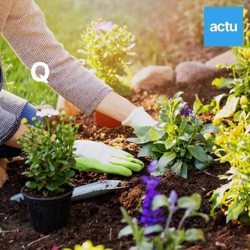 Quels conseils de jardinage au printemps 2022 ? Les conseils d'un pro