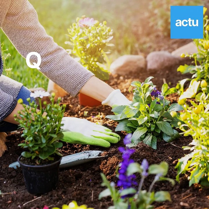 Quels conseils de jardinage au printemps 2022 ?...