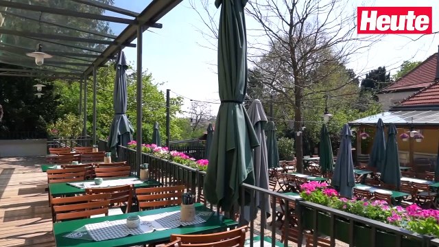 Preis-Explosion! Promi-Wirt in Wien ändert Speisekarte