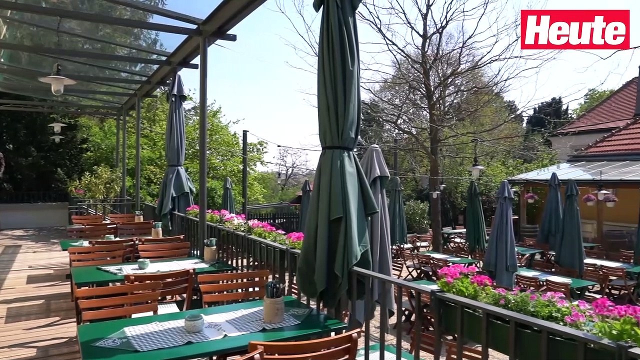 Preis-Explosion! Promi-Wirt in Wien ändert Speisekarte