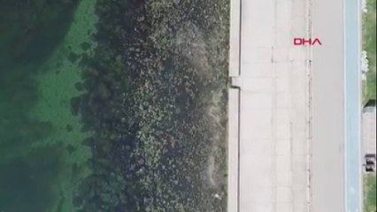 Müsilaj İstanbul'a döndü