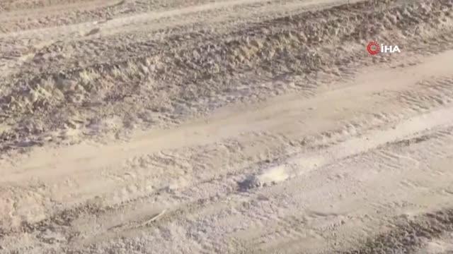 Koparana 120 bin TL ceza kesilen kum zambakları koparılarak yakıldı