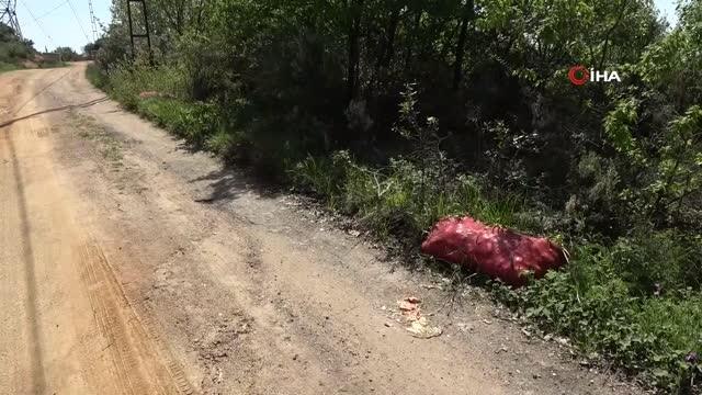 Pendik'te çuval çuval soğan ormana atılmış halde bulundu