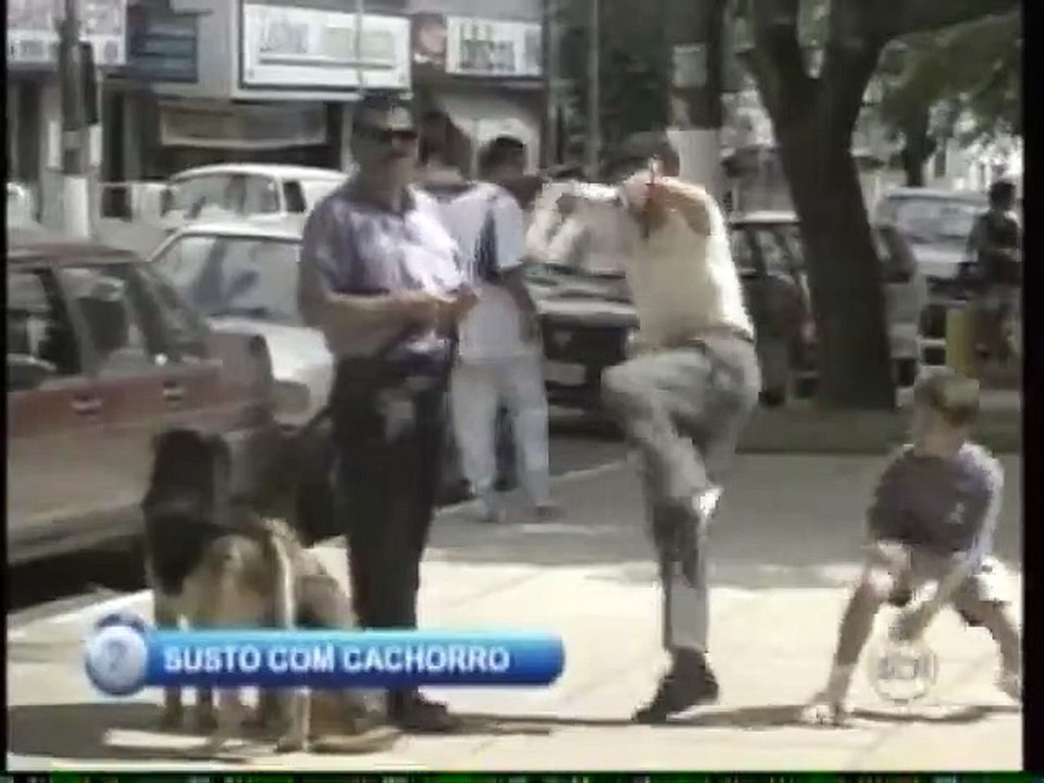 Susto com Cachorro  Pegadinha  Programa Silvio Santos