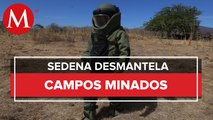 Sedena reporta 279 minas artesanales desactivadas en Tierra Caliente, Michoacán
