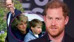 Prince Harry brings his late mother into battle with his brother, he's jealous with William!