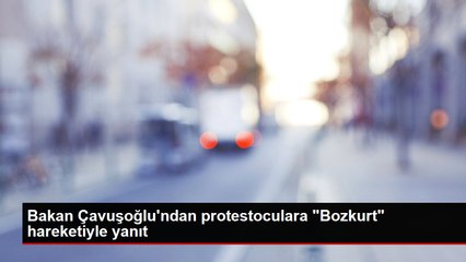 Bakan Çavuşoğlu'ndan protestoculara "Bozkurt" hareketiyle yanıt