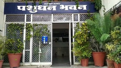 पशुपालन विभाग में 600 नए पदों को मंजूरी