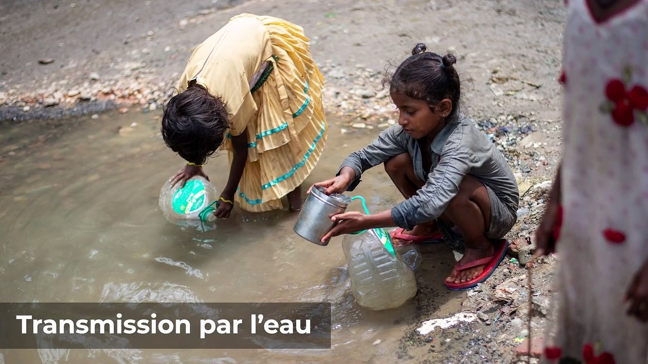 5 raisons de suivre la formation : Viral Hepatitis