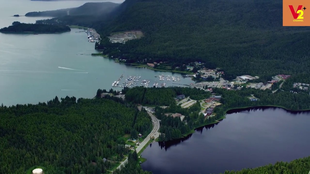 Beautiful Alaska  | Jungle | animals | snow | Mountains | Canada | USA