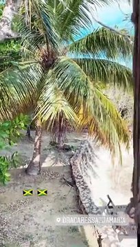 Yannick Noah passe des vacances avec Joalukas et Eleejah en Jamaïque.