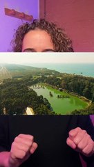 Un multimillonario lleva años transportando árboles en barco para su jardín personal