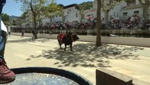 Los toros 'ensogaos' vuelven a Beas de Segura, en Jaén