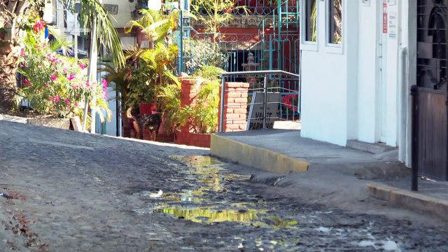 Falta mantenimiento en callejón de Insurgentes y Francisca Rodríguez | CPS Noticias Puerto Vallarta