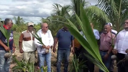 FEDA entregará RD$35 millones en fondos a ovicaprinos de Pedernales