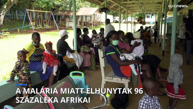 Még mindig több százezren halnak meg malária miatt évente a világon