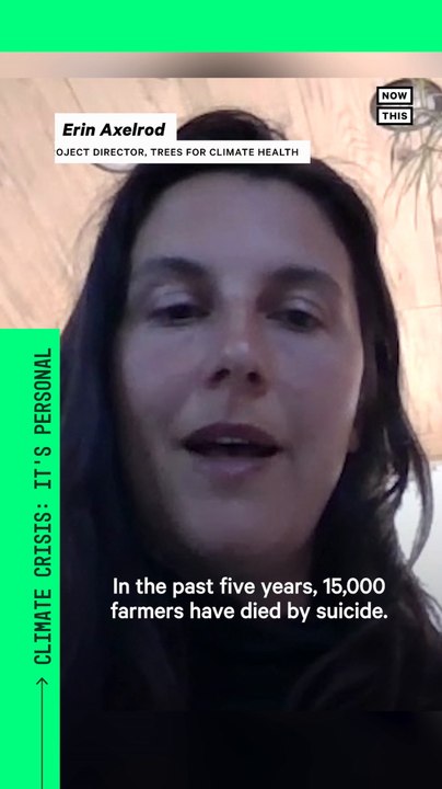 Initiative Funds Reforestation to Combat Effects of Climate Crisis