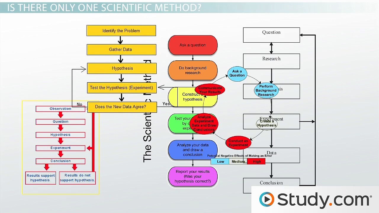 The Scientific Method- Steps, Terms & Examples