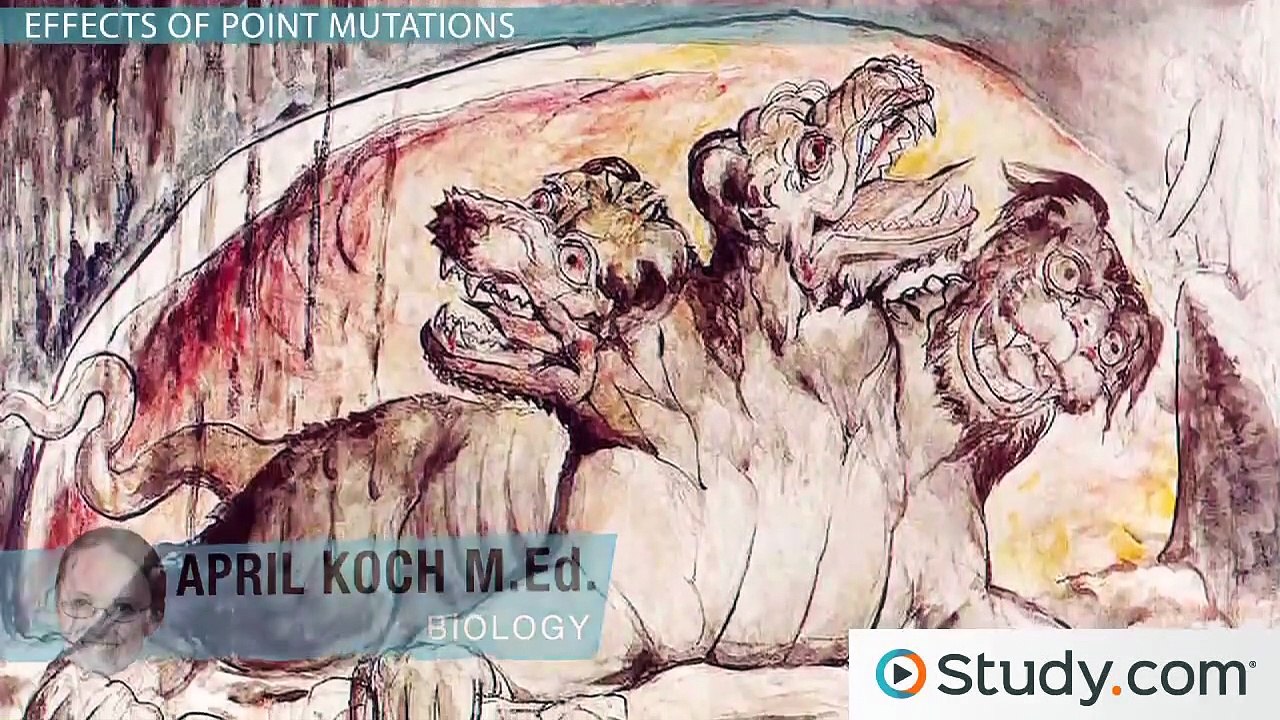 Effects of Mutations on Protein Function- Missense, Nonsense, and Silent Mutations