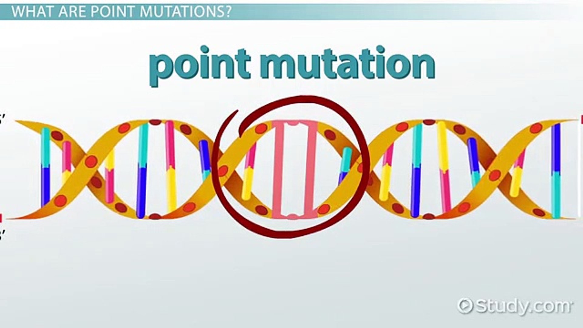 Point Mutation Definition