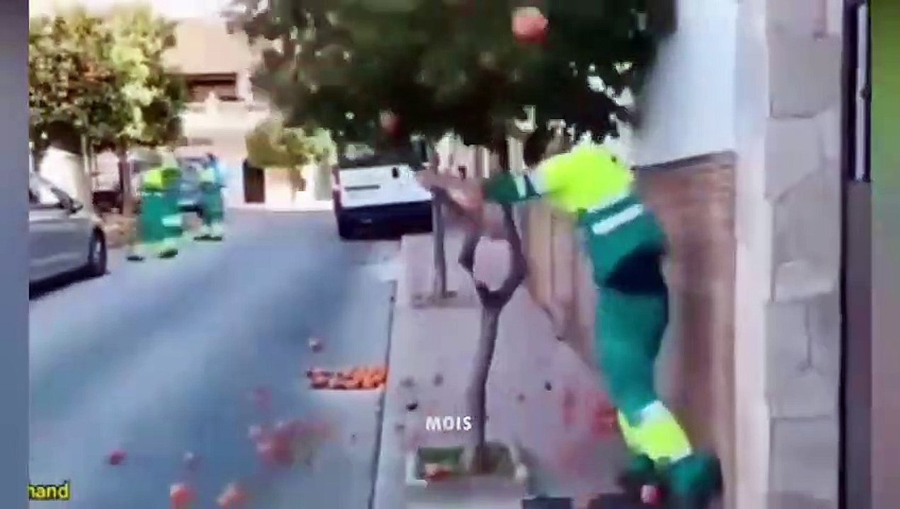 SI TE RÍES PIERDES NIVEL DIOS  999.99% IMPOSIBLE NO REÍRSE  Vídeos De Risa Muy Graciosos 2022