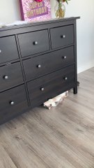 Kitty Thinks She's Being Sneaky