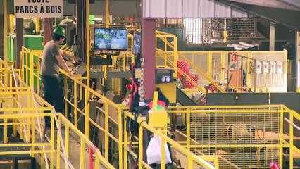 Industrie forestière: Un problème dans la chaîne de valeur