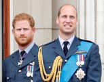 Prince Harry and Prince William Reportedly Had Major Tension Way Before Meghan Markle