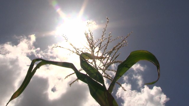 INTA Capacita sobre Variabilidad Climática a Productores Agropecuarios