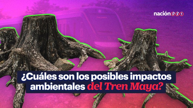 ¿Cuáles son los posibles impactos ambientales del Tren Maya?