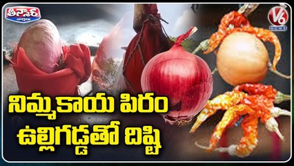 People Ties Onions Instead Of Lemons To House Threshold Due To Hike Price Of Lemon | V6 Teenmaar