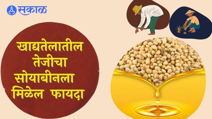 Soyabean Bajarbhav |  पाम ऑईल निर्यातबंदीने खाद्यदेलाच्या दरात वाढ होण्याची शक्यता | Sakal |